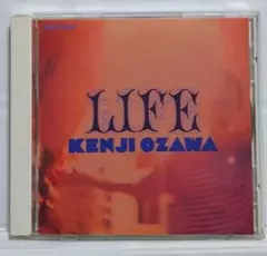 2026年最新】life 小沢健二 レコードの人気アイテム - メルカリ