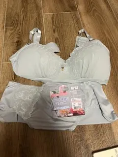 ブラジャーショーツセット 5L