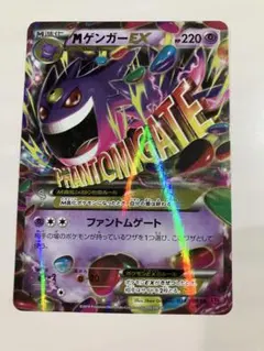 ヤ*マ様 美品！ゲンガーEX M進化 Mマスターデッキビルドボックスパワースタイ Amazon.co.jp: ポケモンカードXY ゲンガーEX/Mマスターデッキ