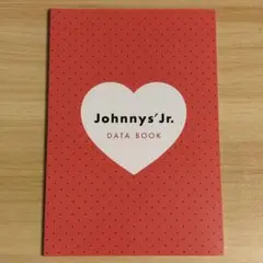 ジャニーズJr. 2018-19 レッド カレンダー データブック