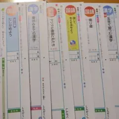 国語 α 後期 5年 カラーテスト 新学社 『未使用』 小学5年生 国語、社会 カラーテスト 新学社 過去問教科書は光村図書