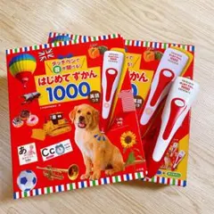 はじめてずかん1000 英語付