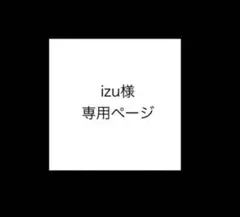 izu様専用ページ