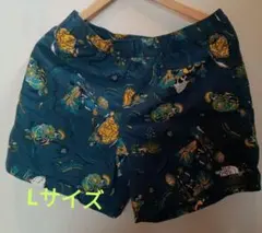 バーサタイルショーツ　廃盤モデル