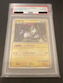 2026年最新】psa10 ぱちりすの人気アイテム - メルカリ