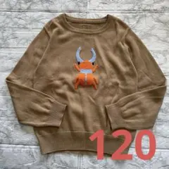 インセクトコレクション　薄手ニット