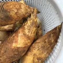 日本最高峰ブランド〉合馬産たけのこ 掘りたて 4kg - メルカリ