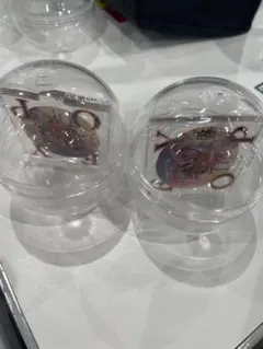 B'z LIVE-GYM2025 FYOP ガチャ　ロゴアクリルスタンド