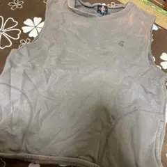 Item thumbnail for item ce40905a-d299-4c3c-ae6d-fb086ea0c671