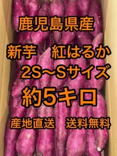 鹿児島県産　新芋　紅はるかA品　箱込5キロ 2S〜Sサイズ　g