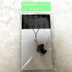 RIIZE エキシビション MD キーリング アントン