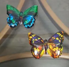 バタフライ 缶バッジ 2Pセット