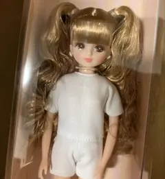 Item thumbnail for item baab42c5-8725-404f-b9a2-ae978d048124