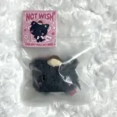 未開封 NCT WISH WISHDOLL リク kuri 公式品 J - メルカリ