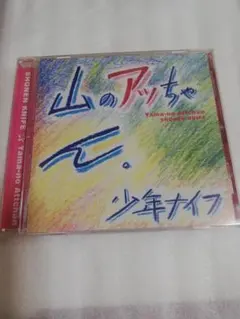 ❰ レア❕❱ 少年ナイフ / 山のアッちゃん