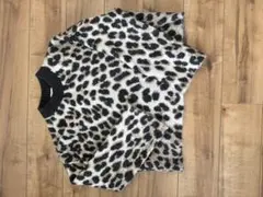 H&M ヒョウ柄 長袖ニットセーター