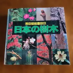 日本の樹木　日本で見られる樹木1446種類を収録のサムネイル