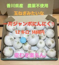一片ジャンボにんにく　1.２キロ ⑤のサムネイル