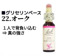 annabel様 リクエスト 2点 まとめ商品