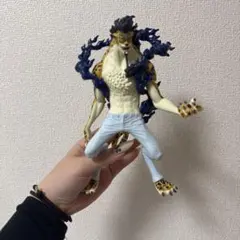 ワンピースロブルッチ