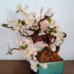 Item thumbnail for item 044363e8-6fa3-4f61-b6fb-2981e89ddef8