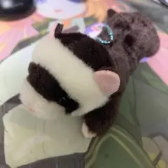美品】necorin ねこりん しっとり ぬいぐるみ（小） - メルカリ