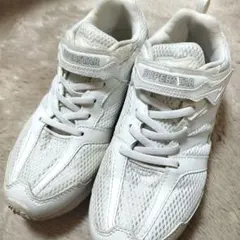 SUPERSTAR スニーカー 22.5cm