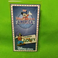 Disney Across America ピンバッジ Floridaのサムネイル