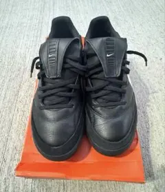 Item thumbnail for item 4b2af297-1f6e-4c8f-91b9-acfcc316ad8e