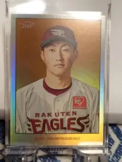 Item thumbnail for item f2aba164-01bb-4093-bc23-aa1c53fec297