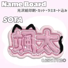 Item thumbnail for item ecd7c72d-a9c6-4dc2-b091-132a645323d5