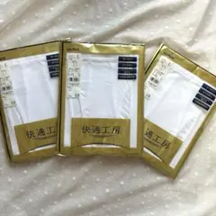 未使用品グンゼ 快適工房 最高品質ライン 長ズボン下　L 3袋
