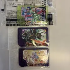 フレンダ　ジガルデ　カイリュー