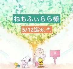 ねもふぃらら様 専用ページ