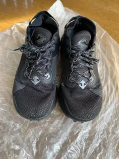 NIKE ペガサストレイル2 ゴアテックス