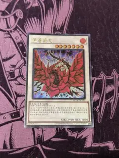 遊戯王 中国版 ブラックローズドラゴン シークレット アジア版 簡体字