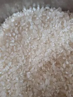 新米 ブレンド米 無洗米 20kg (10kg×2袋) - メルカリ