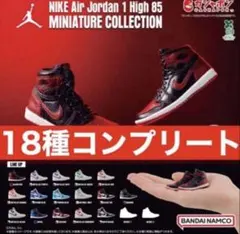 NIKE Air Jordan 1 High 85 MINIATURE コンプ