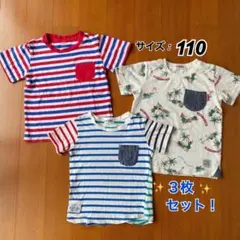 110 ECOPARK 半袖 Tシャツ 3枚セット まとめ ボーダー ハワイアンのサムネイル