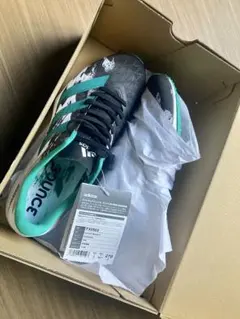 Item thumbnail for item 89c0be42-d434-4b3c-a141-3b3f82818214