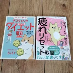 Item thumbnail for item 4da40fa7-aee8-434d-9664-8a917c758b5a