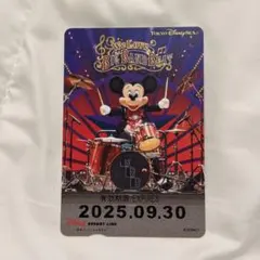 ビックバンドビート　リゾートライン　フリー切符
