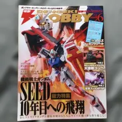 電撃ホビーマガジン 1106 ガンプラ　仮面ライダースパロボ　トランスフォーマー