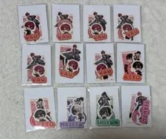 STPR expo ステッカーセット12点セット