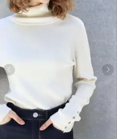 リブ ハイネック