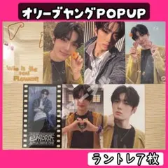 shoucunliangmei様 リクエスト 2点 まとめ商品