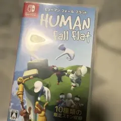 Nintendo Switch ヒューマン フォール フラット