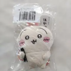 うさぎだらけくじ