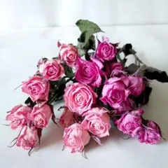 おまめ様 リクエスト 3点 まとめ商品