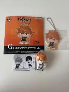 ハイキュー ゴミ捨て場の決戦2 1番くじ 日向翔陽